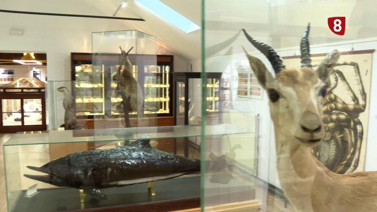 'Un Paseo por Palencia' MUSEO JORGE MANRIQUE