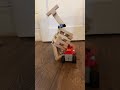Epic LEGO Bot Smash! Jenga Tower Destroyed!”