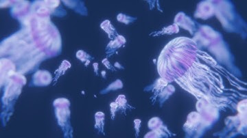 Blender JELLYFISH󠀠󠀠󠀠 󠀠ㅤㅤㅤㅤㅤㅤㅤㅤㅤㅤㅤㅤ(for Nodevember)