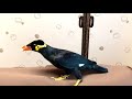 すがちゃん : 綿棒はJohnson&Johnson