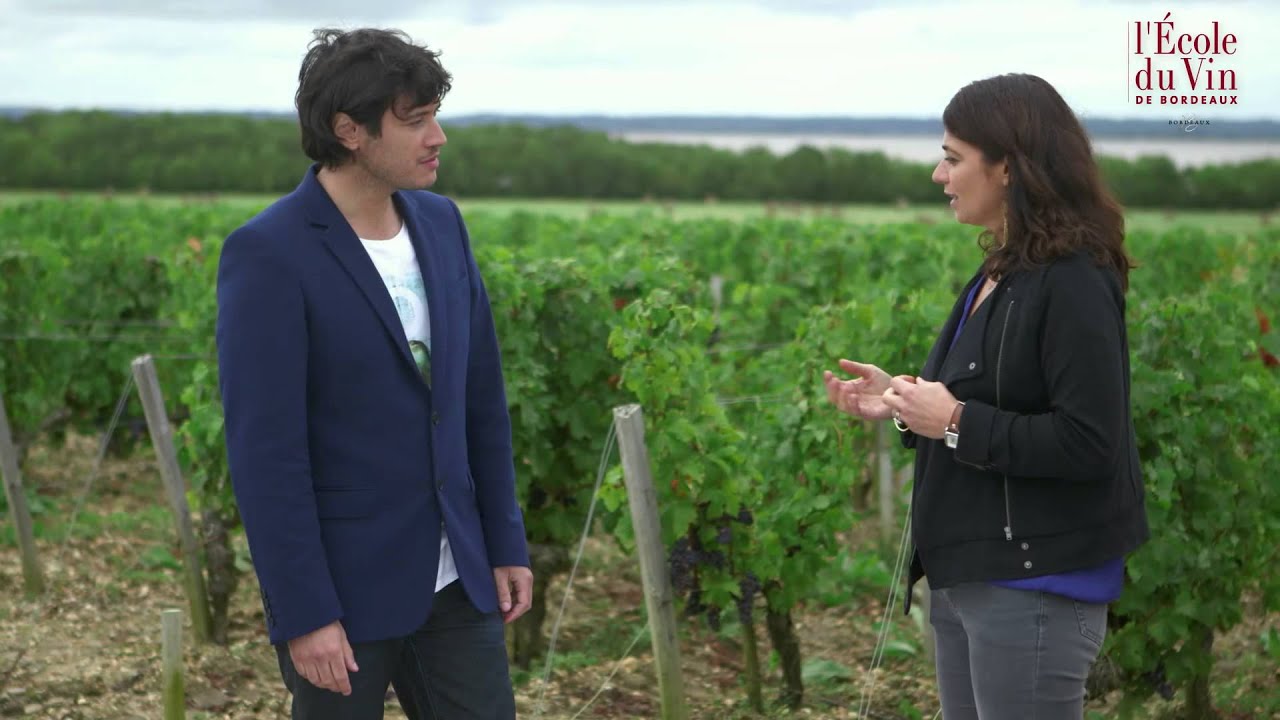 french wine crossword The classification of Graves red and white wines