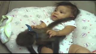 Ребенок играет с детенышем обезьяны