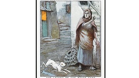 How To Catch a Bunny - Short Mockumentary by the Bunny MEN