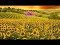 ひまわり/門倉有希  カラオケ