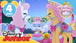 Whisker Haven Tales | Brie-zy Does It! | Disney Junior UK