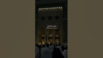مع القرآن نحيا | تلاوة تبعث الطمأنينة في القلوب#foryou #fpy #explorepage