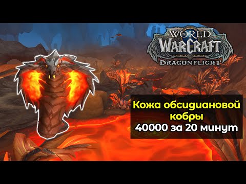 Видео: Кожа обсидиановой кобры | 40000 золота за 20 минут | World of Warcraft: DragonFlight 10.2
