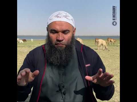 Разница между гаданием и жребием. Ринат Абу Мухаммад #Shorts