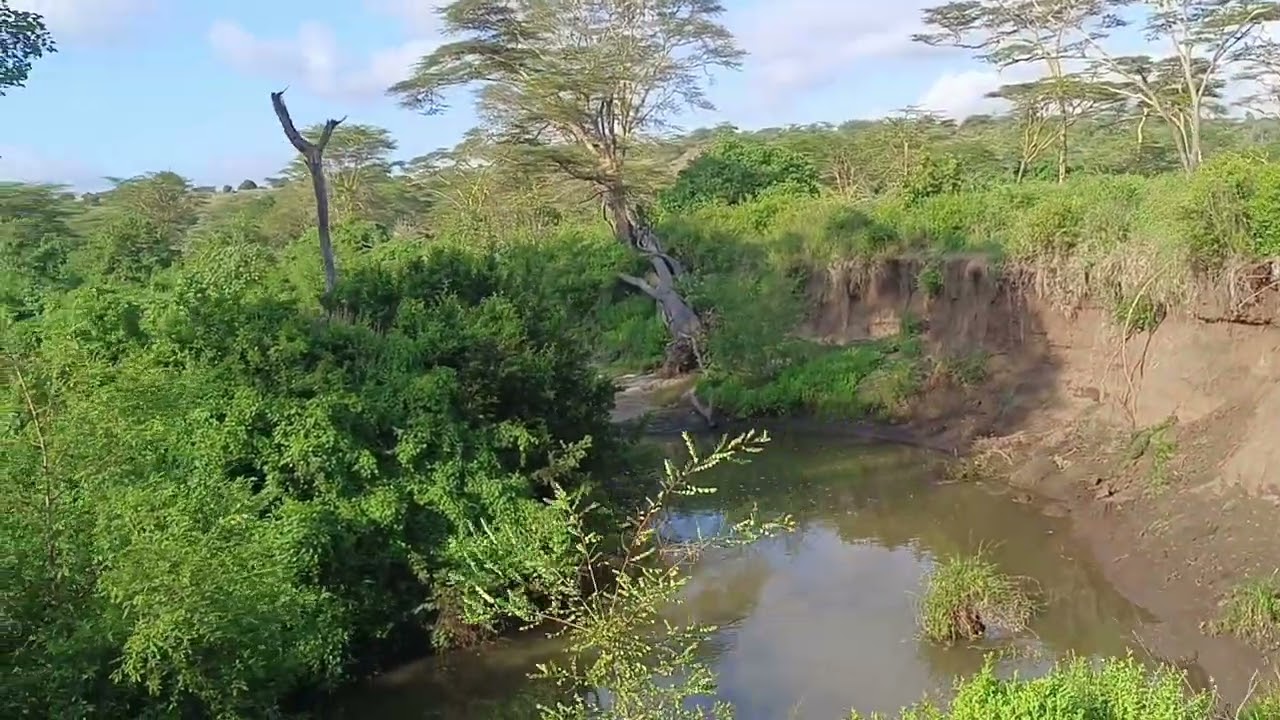 Nairobi National Park Nature Trail