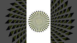Optical illusion art, OP art, 3d art 3d illusions opticalillusionart