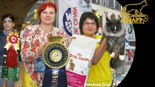 25 лет Клубу любителей кошек 'Эйлур'