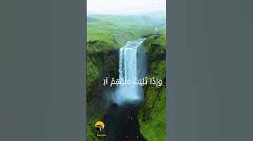 الذين إذا ذكر الله وجلت قلوبهم l سورة الأنفال l محمد صديق المنشاوي l #quran #islam #reels #قرآن