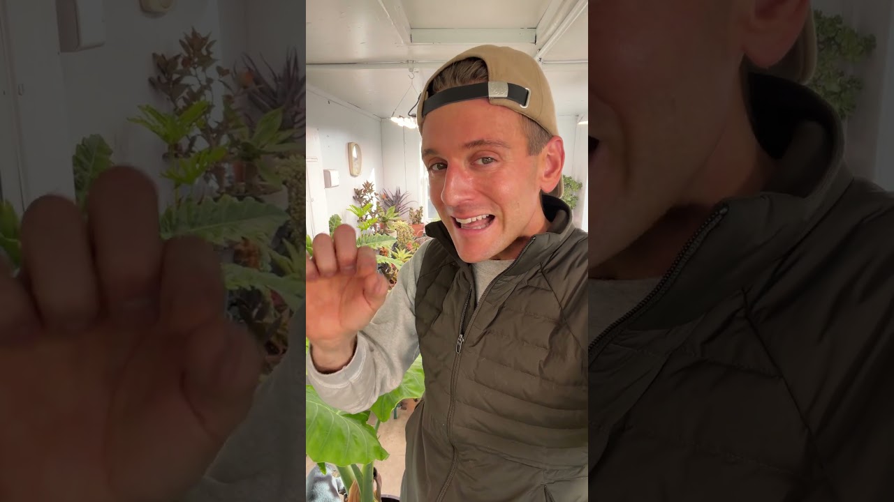 Это "неприглядное" место, которое я редко кому показываю!