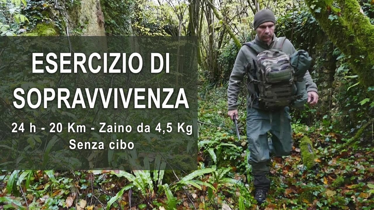 Sopravvivere senza cibo: sfida estrema nei boschi con solo l’essenziale