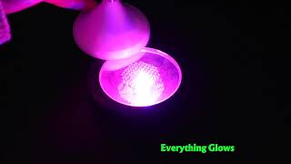 Everything Glows - Light Up Drink Coaster
