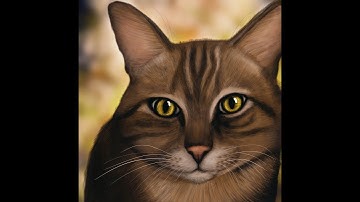 How to paint a cat in Procreate - Timelapse