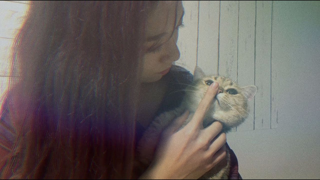 [SNH48 Thẩm Mộng Dao] Câu chuyện 8,75 của Dao Dao (Vietsub)