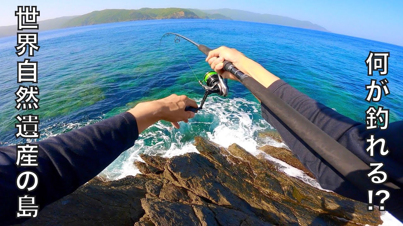 希少生物あふれる大自然の島を釣り竿持って探検した話。