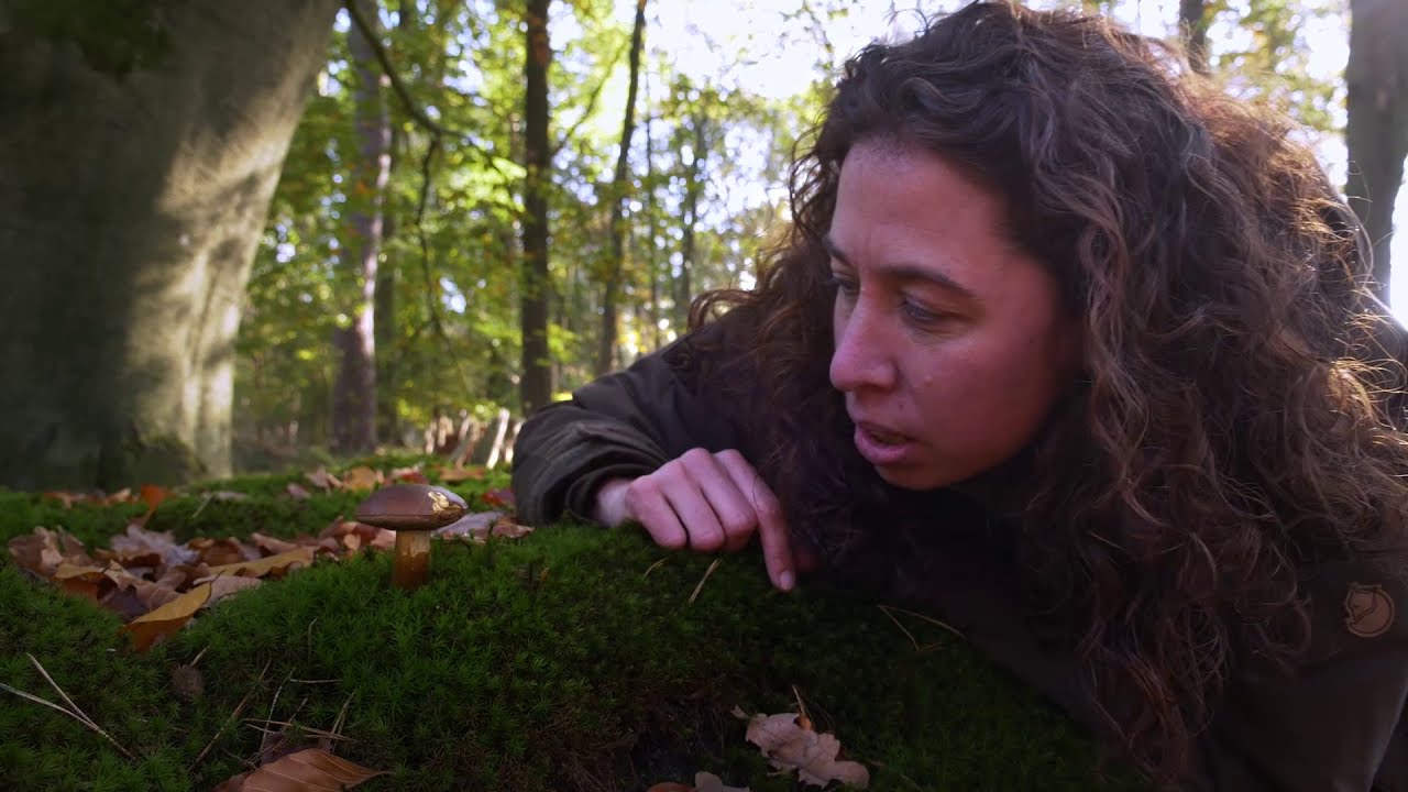 Met de boswachter op zoek naar diersporen