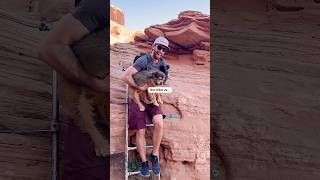 UNDERRATED hike it Utah🤯 Corona Arch #travel #utah #moab #hiking