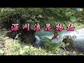 川中美幸【深川浪花物語】カラオケ