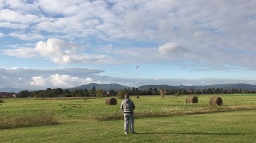 Trex700L Beastx v5.2.1