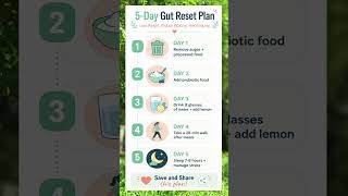 5-Day Gut Reset to Lose Weight Fast — Simple Plan That Actually Works