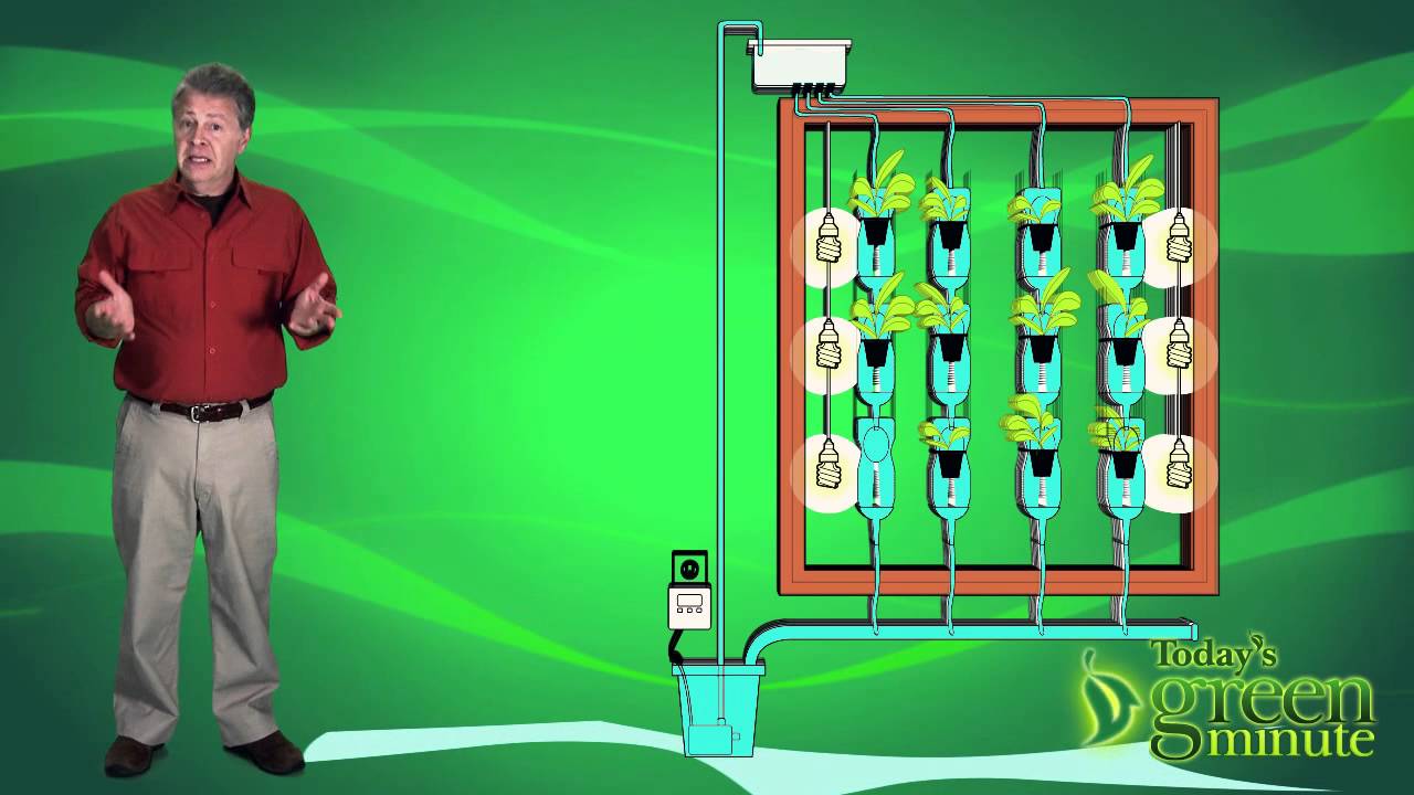 Window Farm Gi Window Farms: REALLY Local Food! - YouTube