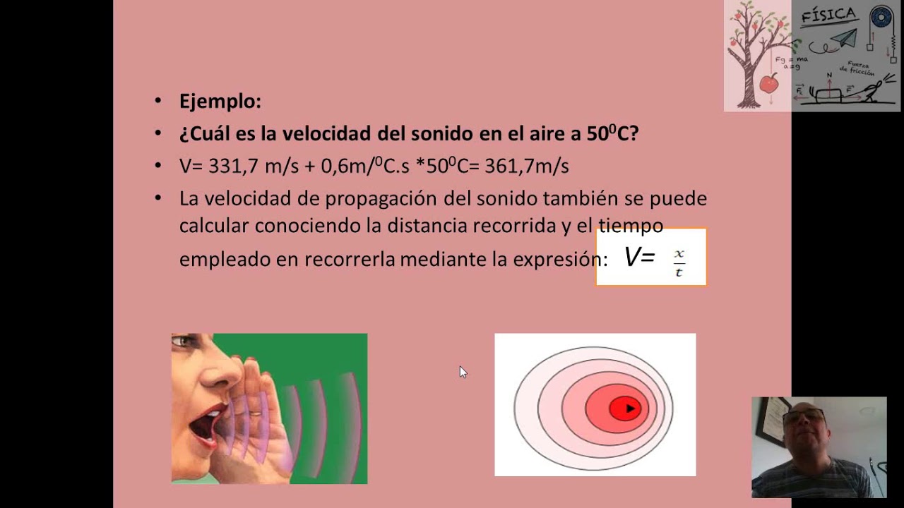 ACUSTICA 1