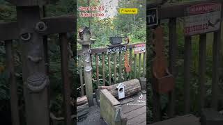 Busy Little Red Squirrels,Peanut Butter Club , By R Conyard