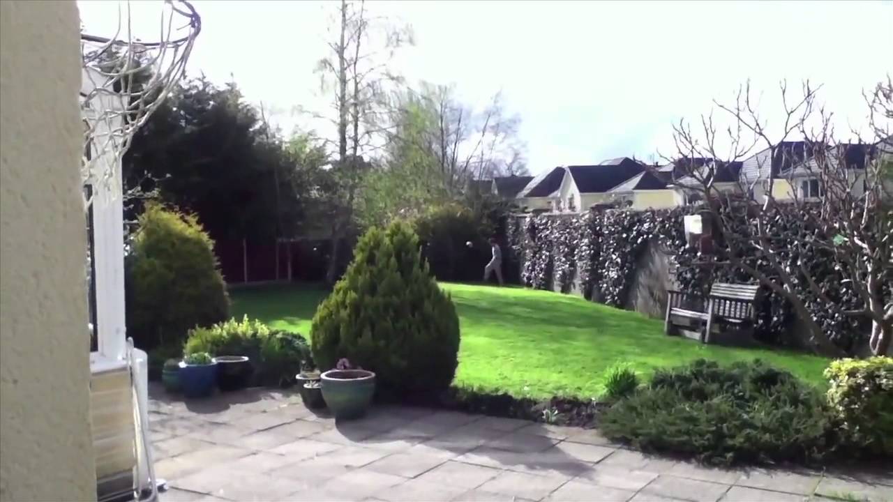 Michael Jordan Playing Football failure meaning in bengali