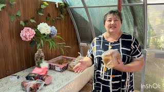 Обзор наших покупок!А мы копаем картофель!# Хороший урожай.# Покупки #Работа на участке!#Наш урожай!