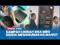 Ribuan Kilogram Sampah Limbah Sisa MBG di Brebes Bakal Diurai Menggunakan Magot