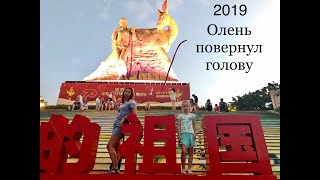 Олень повернул голову 2019