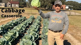 Cabbage Casserole(Cajun Made)