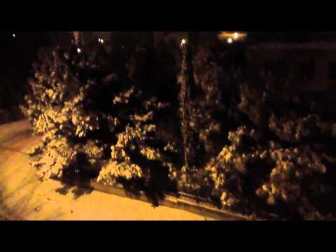 -5 გრადუსი