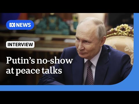 Putin's absence from Ukraine-Russia peace talks "unsurprising" | The World | ABC NEWS Episode cover
