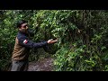 Aaron Ovando: compromiso con el bosque | Anfitriones de la Ruta de los Parques