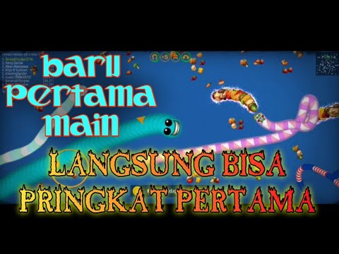 GAME VIRAL!!! Cacing Besar Alaska | worms zone.io - YouTube