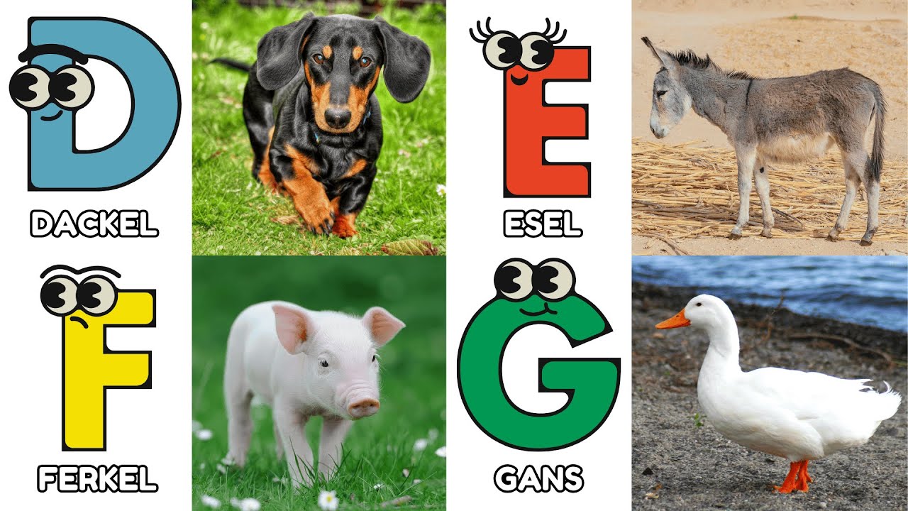 Das Tier ABC Lied | ABC Tiere Lied für Kinder |Das Lustige ABC mit Tieren –Perfekt für die Vorschule