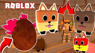 NEW ARCHERY SIMULATOR + DUNGEONS | Archery Simulator Roblox