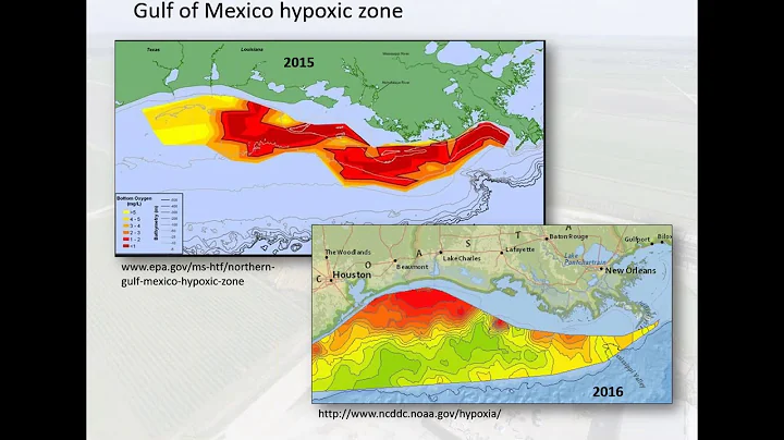 August 2018 Webinar - Examining Vegetation & Water Quality Interactions in Conservation Wetlands