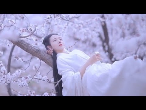 TikTok QT Dragostea Din Tei Remix Dj QT Mix