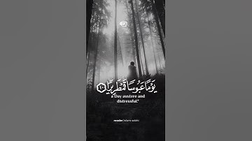 تلاوة عجيبة وهدوء للعقل والنفس 😯💔🍃🎙️القارئ اسلام صبحي