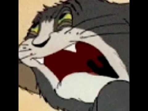 Tom and Jerry  Tom Scream  YouTube