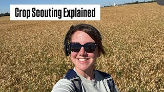 What Crop Scouts Actually Do All Year