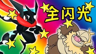精靈寶可夢人氣王小智版甲賀忍蛙來啦 出場動畫帥到沒朋友 甲賀忍蛙