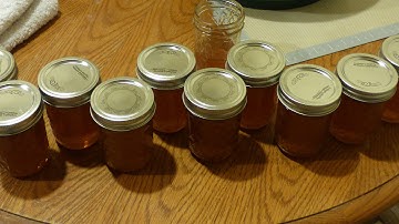 Honey Extraction - First Year
