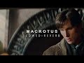 Batman begins  macrotus slowed  reverb