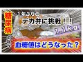 【糖尿病　食事　Type1】糖尿病の私が１.１キロのデカ弁に挑戦インスリンなしで食べた血糖値がやばすぎた・・血糖値どこまで上昇する？？【アラフォー糖尿病血糖値検証】